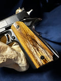 Giraffe Bone 1911 Grips